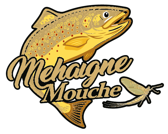 Mehaigne Mouche, club de p?che ? la mouche